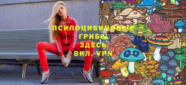 шишки Балабаново