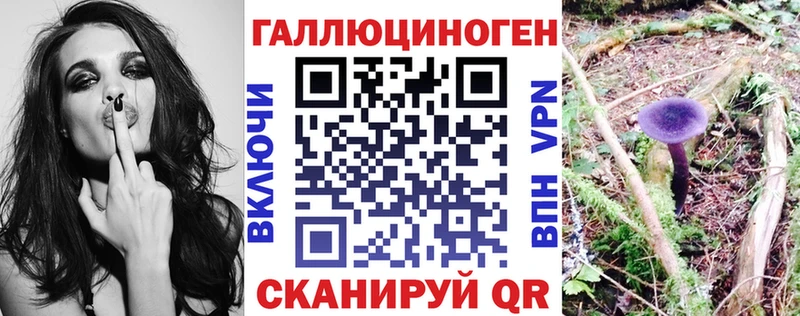 продажа наркотиков  Дрезна  Псилоцибиновые грибы мухоморы 